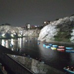 千鳥ヶ淵の夜桜5
